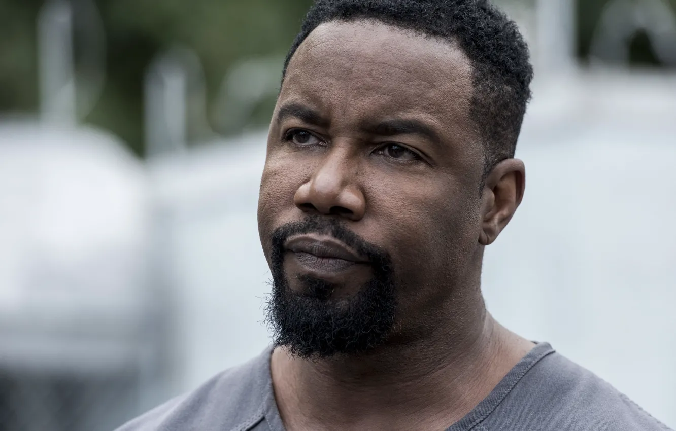 Photo wallpaper look, portrait, actor, Director, producer, writer, Michael Jai White, Michael Jai White