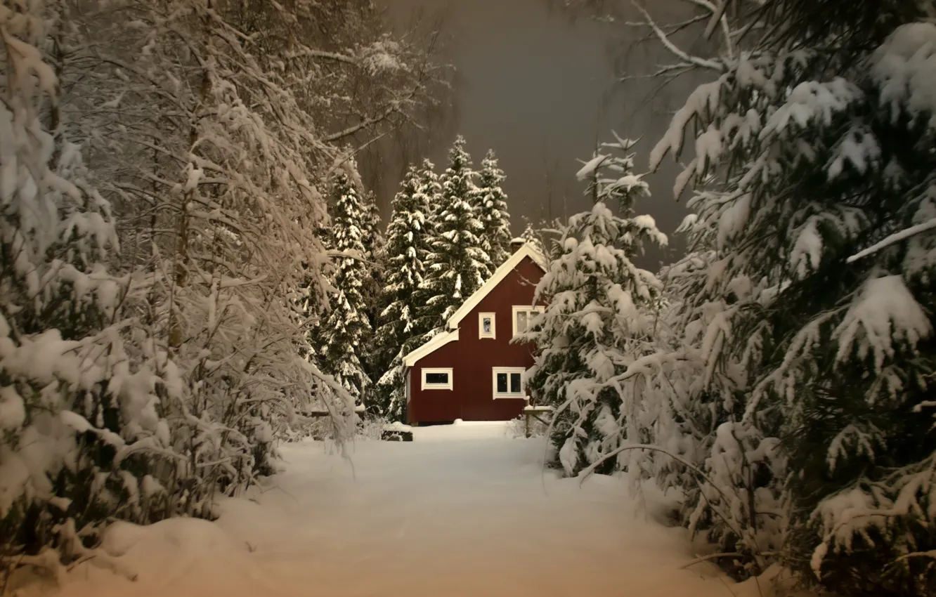 Photo wallpaper winter, forest, snow, trees, landscape, nature, house, the evening