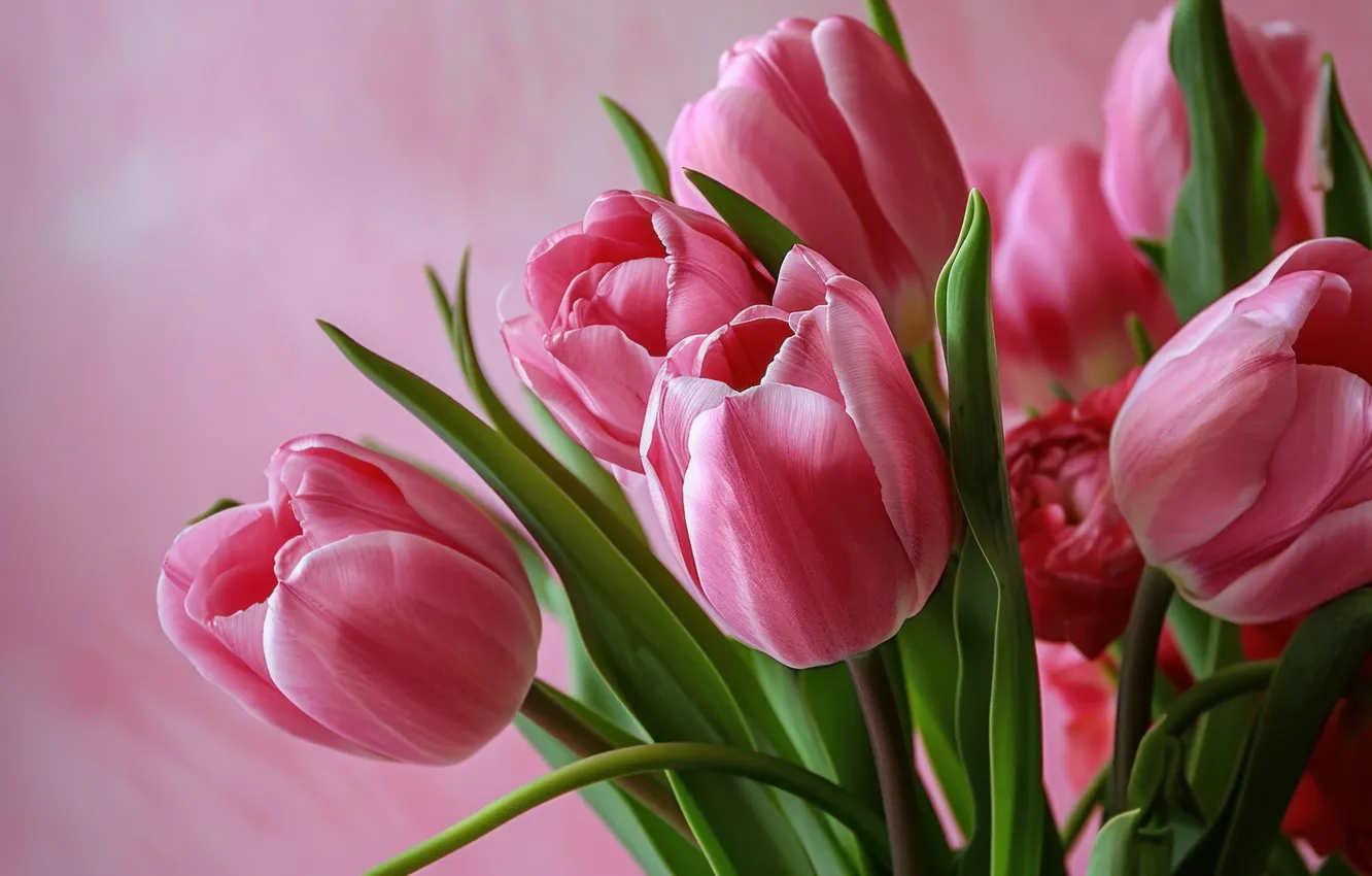Photo wallpaper flowers, holiday, bouquet, spring, tulips, March 8, AI art, universal holiday background