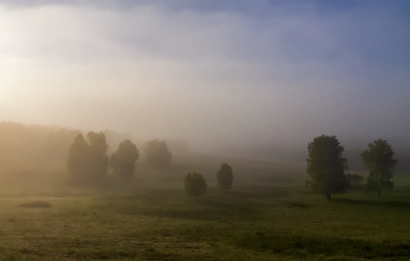 Photo wallpaper field, the sky, trees, landscape, nature, fog, hills, morning