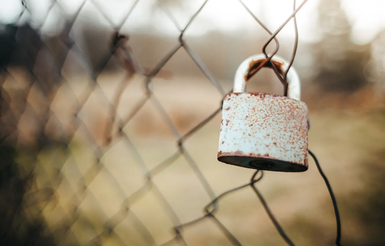 Photo wallpaper wire, rust, padlock