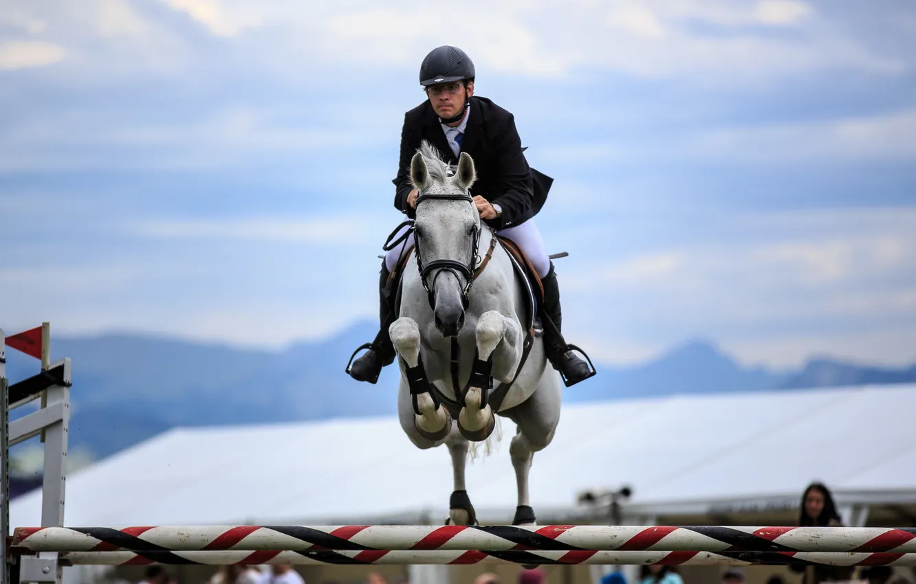 Photo wallpaper horse, jump, sport
