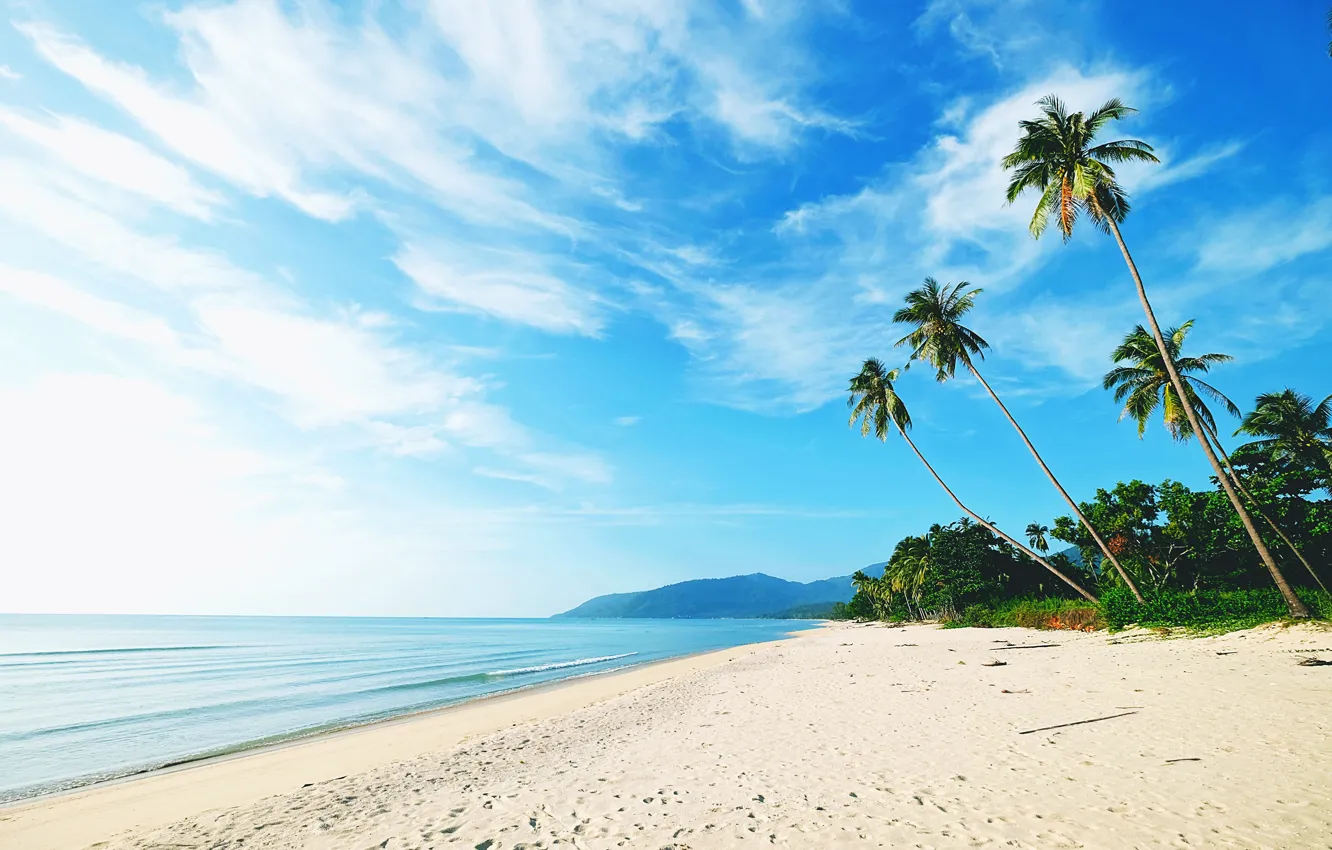 Photo wallpaper sand, sea, wave, beach, summer, the sky, palm trees, shore