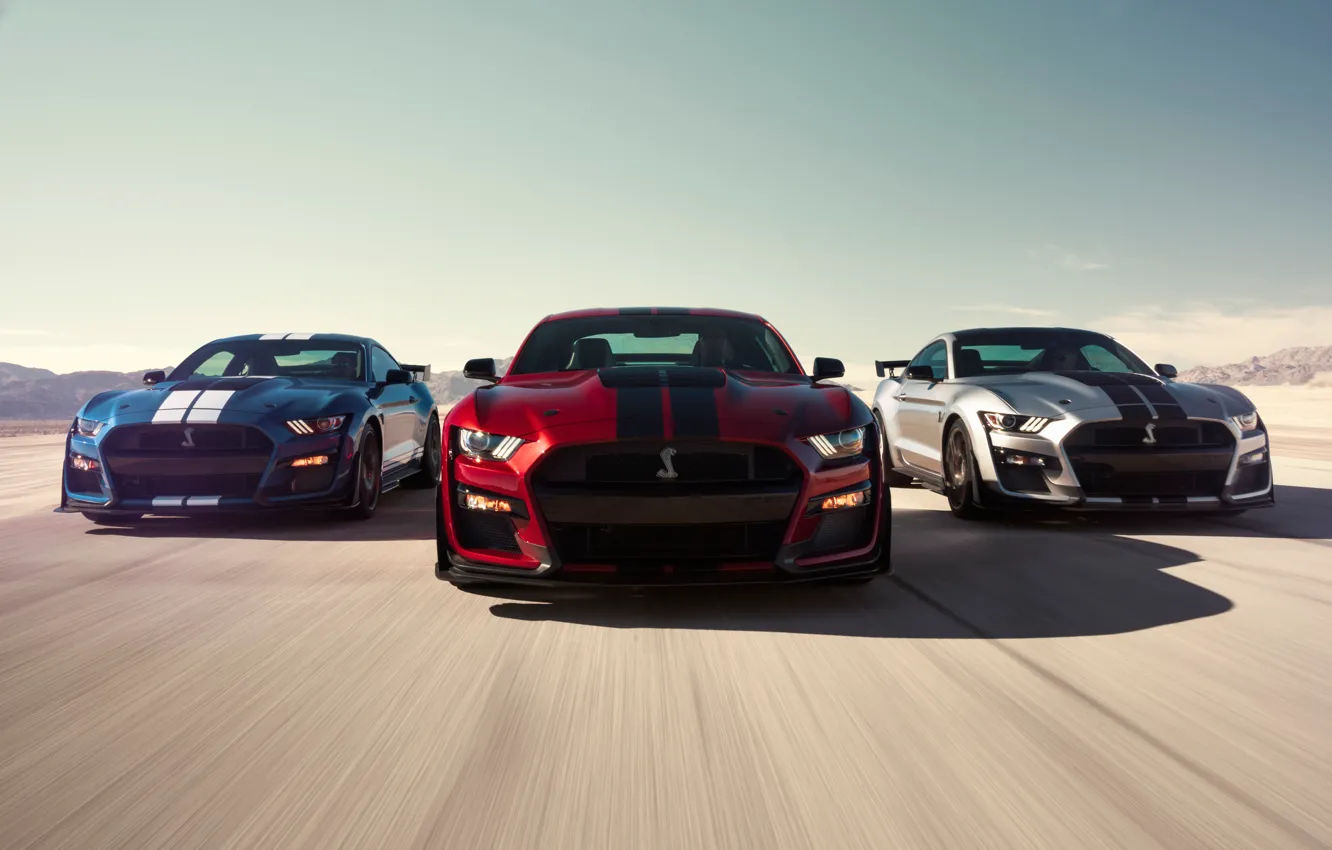 Photo wallpaper Mustang, Ford, Shelby, GT500, 2019