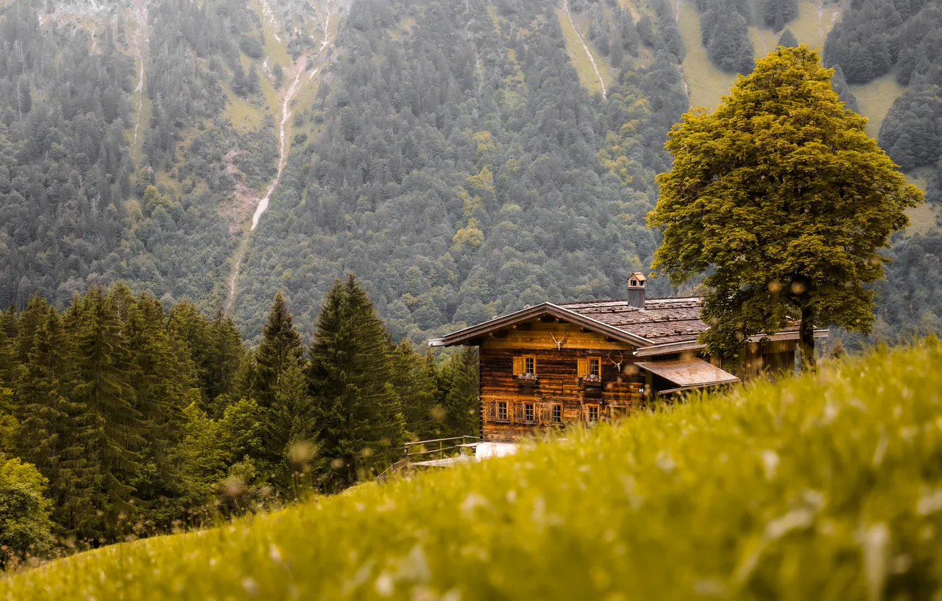 Photo wallpaper field, forest, mountains, home, slope, house