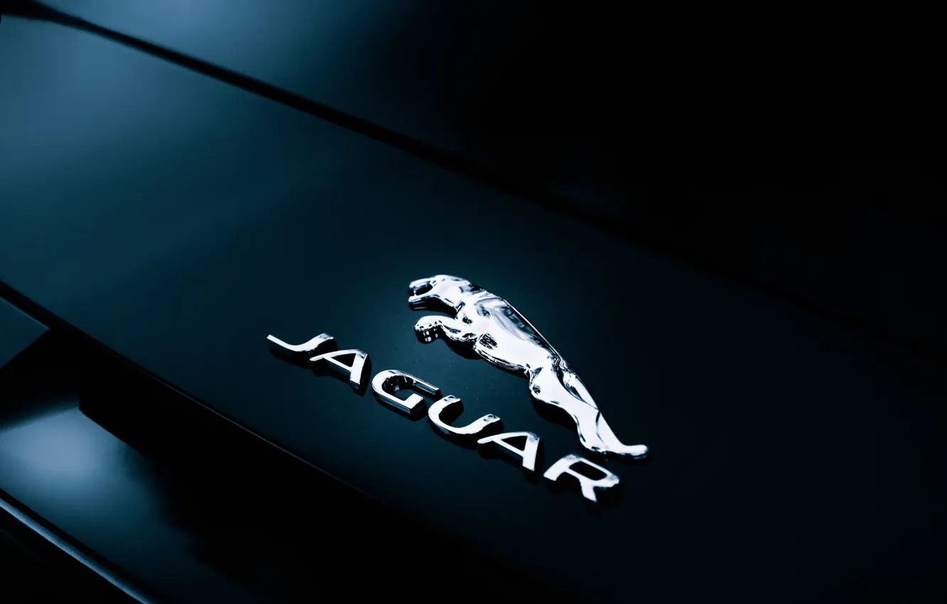 Photo wallpaper Jaguar, label, Convertible, F-Type, rear badge