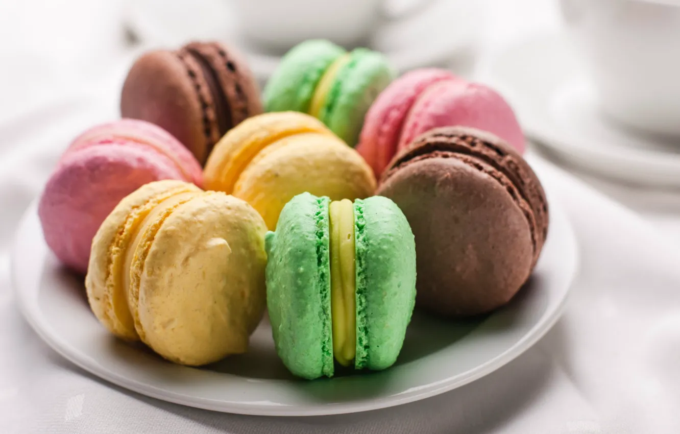 Photo wallpaper cake, colorful, macaroon