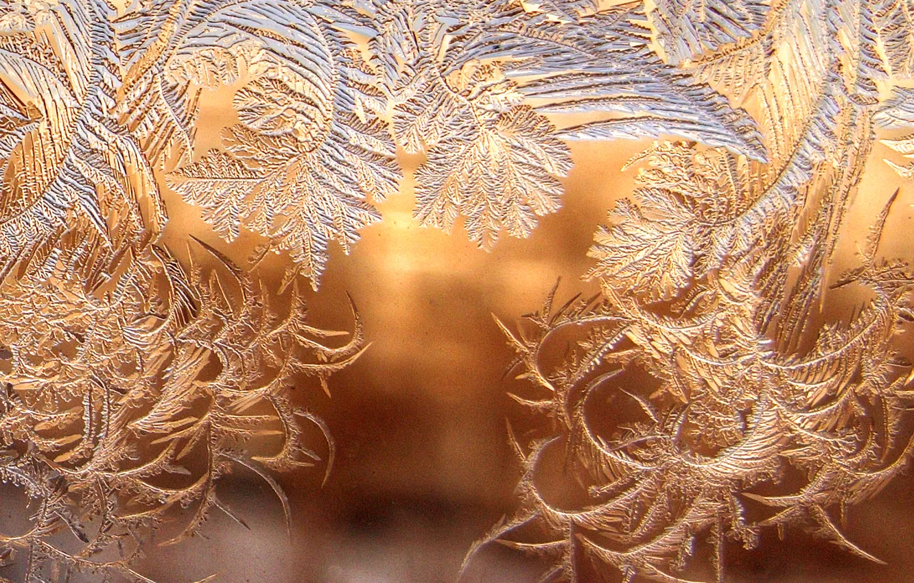 Photo wallpaper winter, frost, the sun, macro, sunset, frost, glow, frost