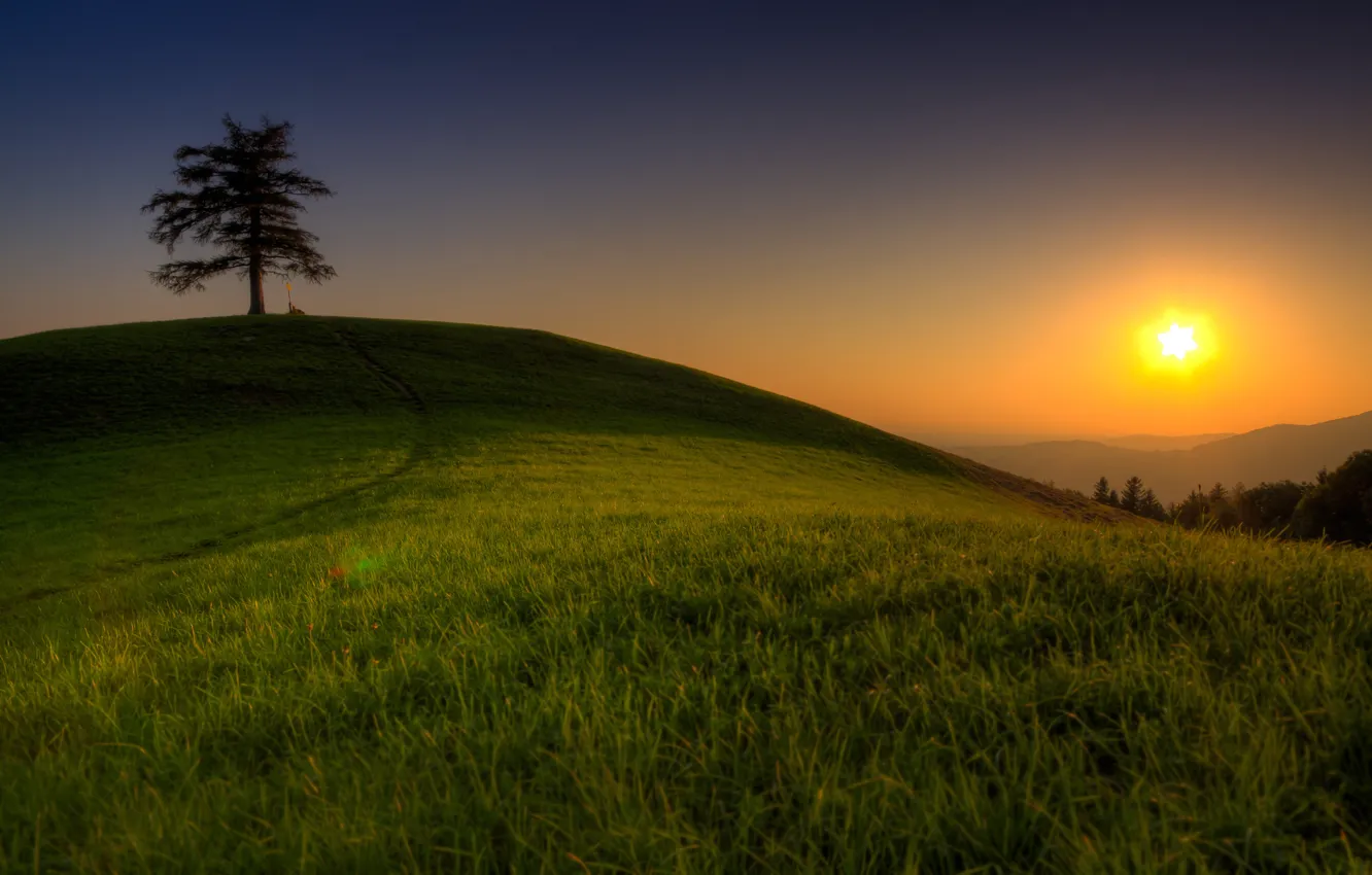 Photo wallpaper greens, the sky, grass, the sun, light, trees, mountains, nature