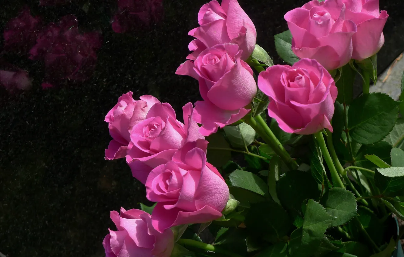 Photo wallpaper flowers, roses, bouquet, petals, pink, buds