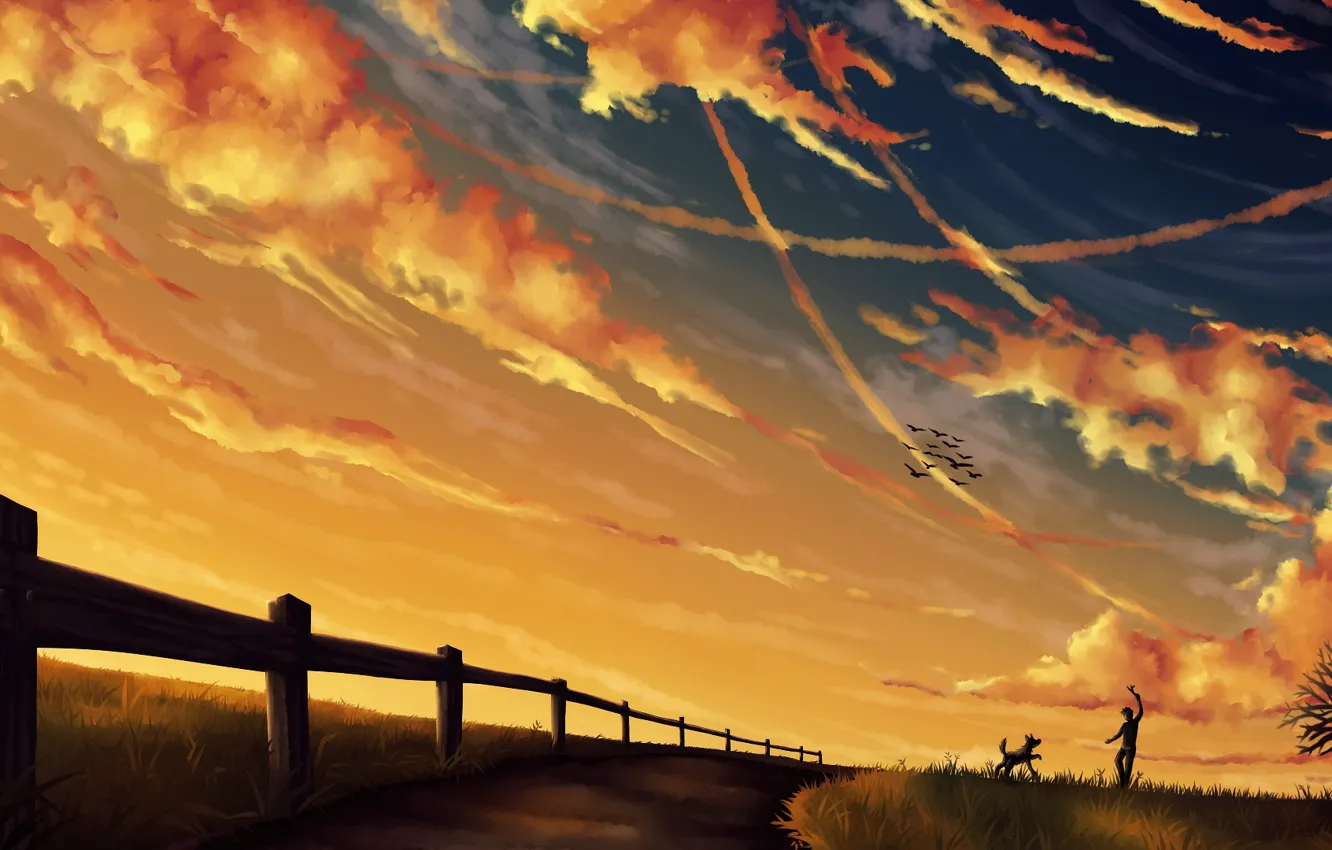 Photo wallpaper the sky, clouds, landscape, bird, the game, the fence, dog, the evening