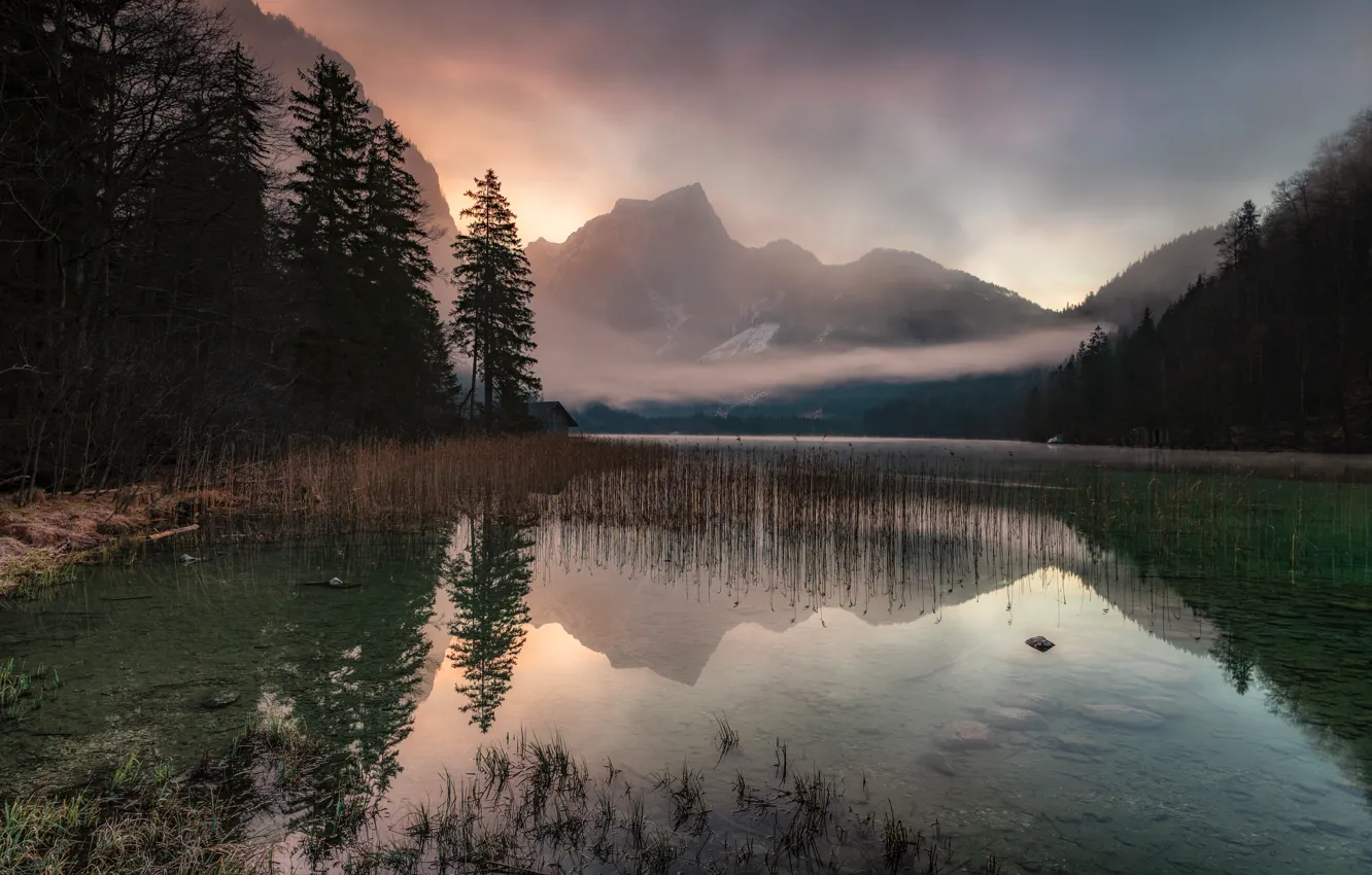 Photo wallpaper forest, mountains, reflection, pond