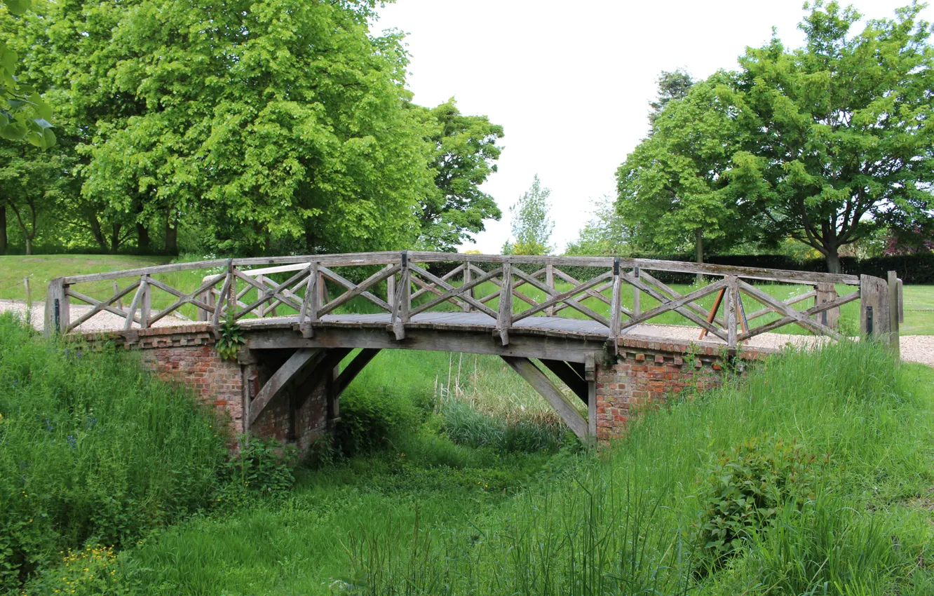 Photo wallpaper greens, summer, trees, summer, the bridge, trees, bridge