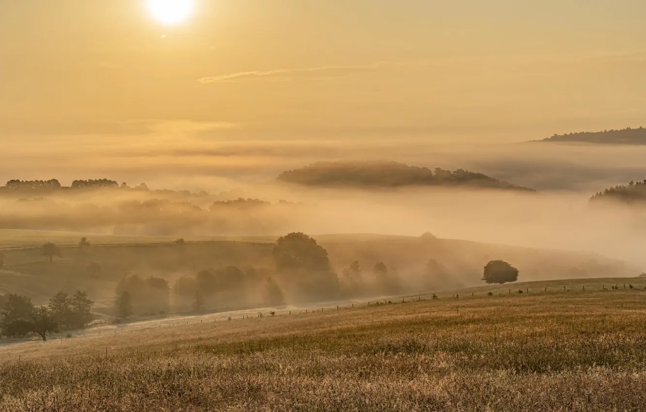 Photo wallpaper field, sunset, fog