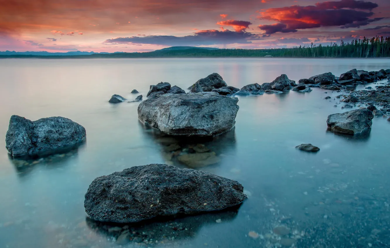 Photo wallpaper forest, sunset, nature, lake, stones, Yellowstone National Park, Yellowstone lake
