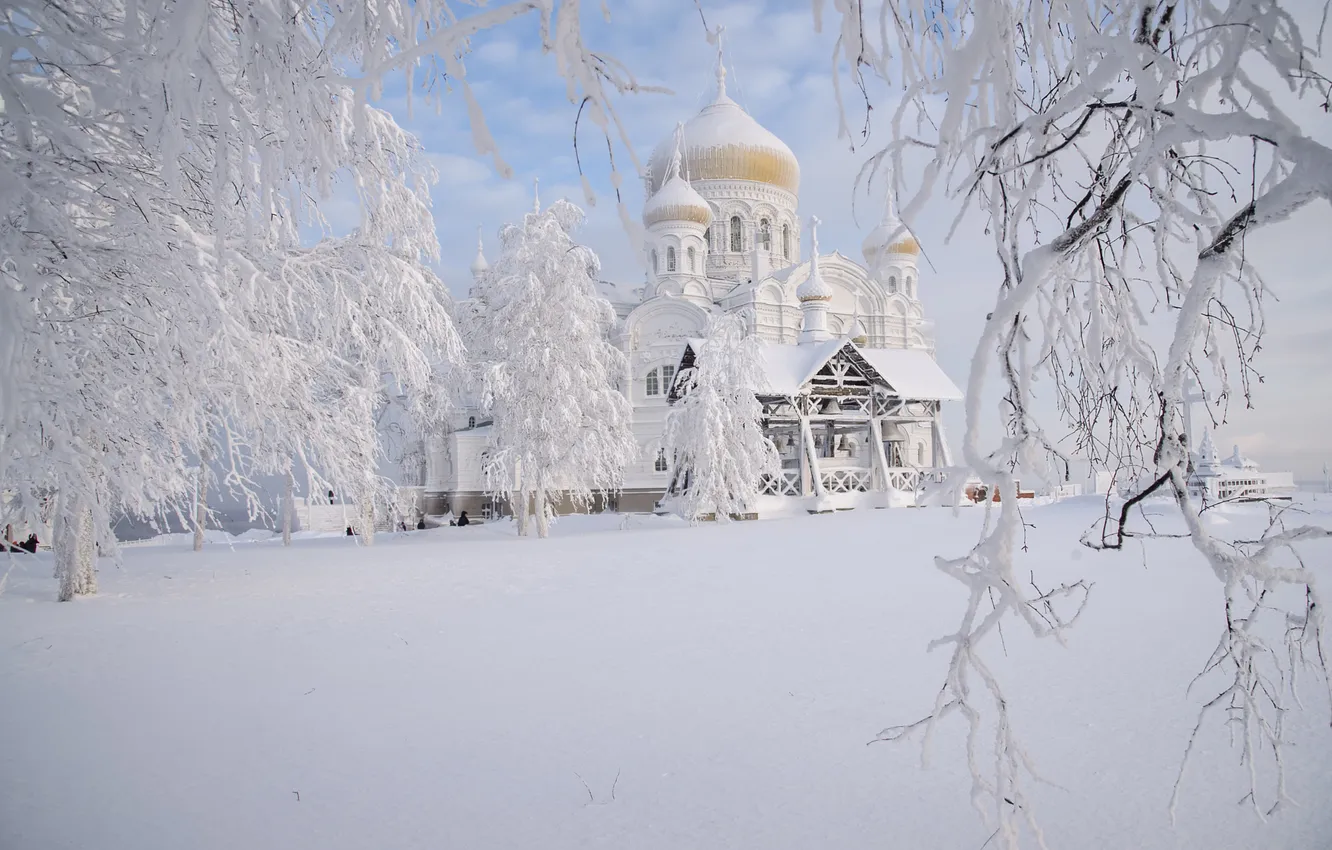Photo wallpaper winter, frost, field, the sky, clouds, snow, trees, branches