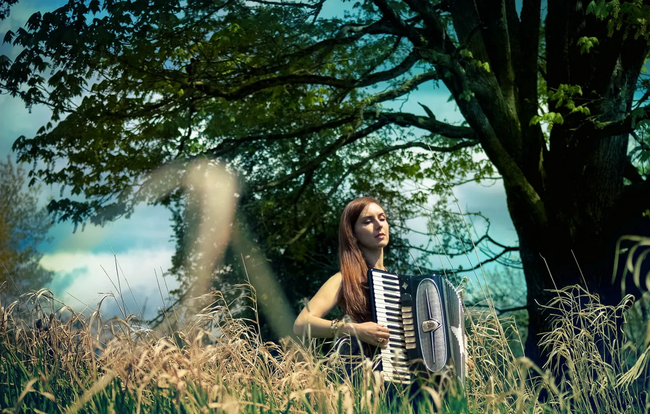 Photo wallpaper girl, music, accordion