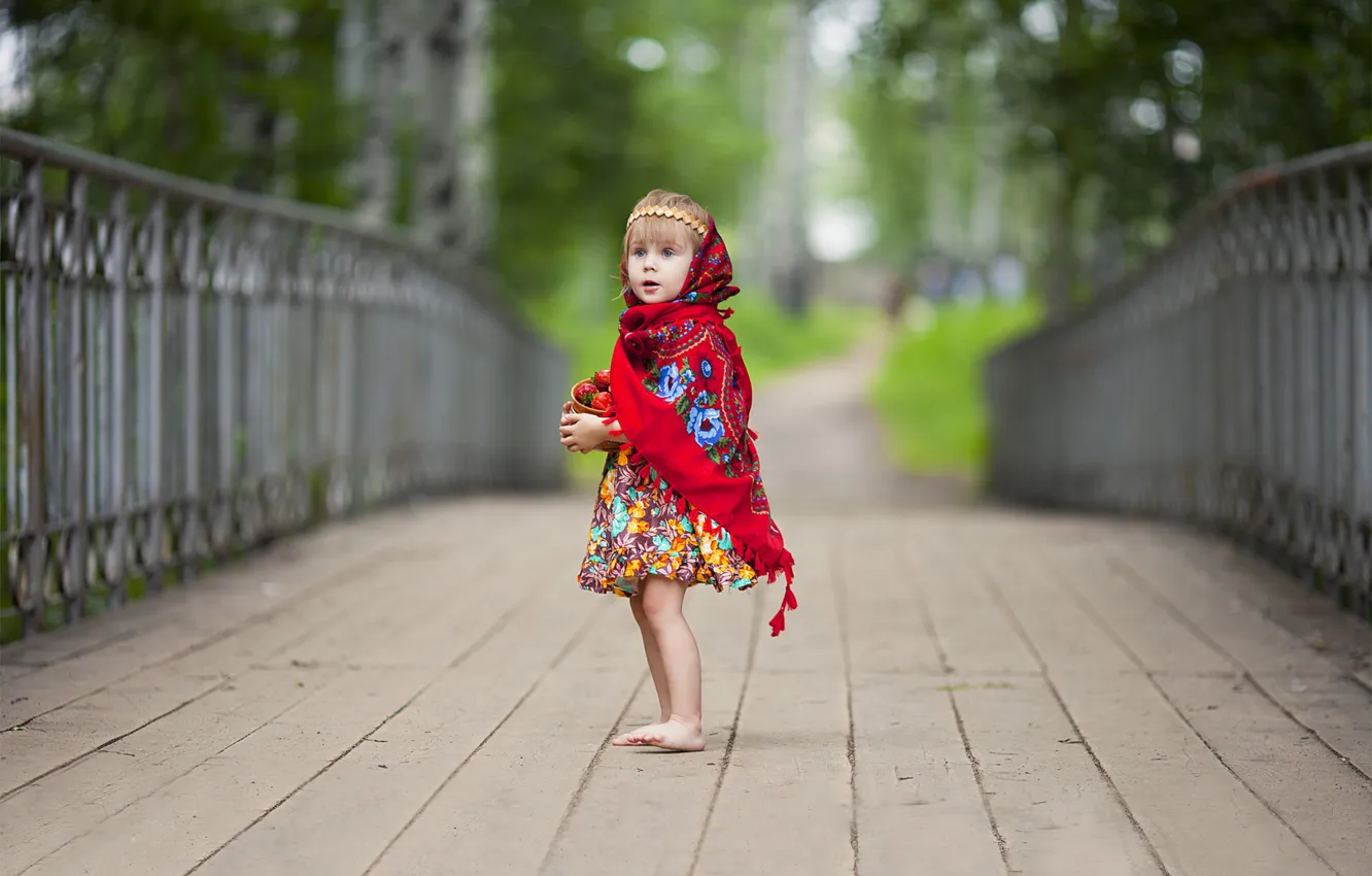 Photo wallpaper bridge, strawberry, girl, shawl, pot