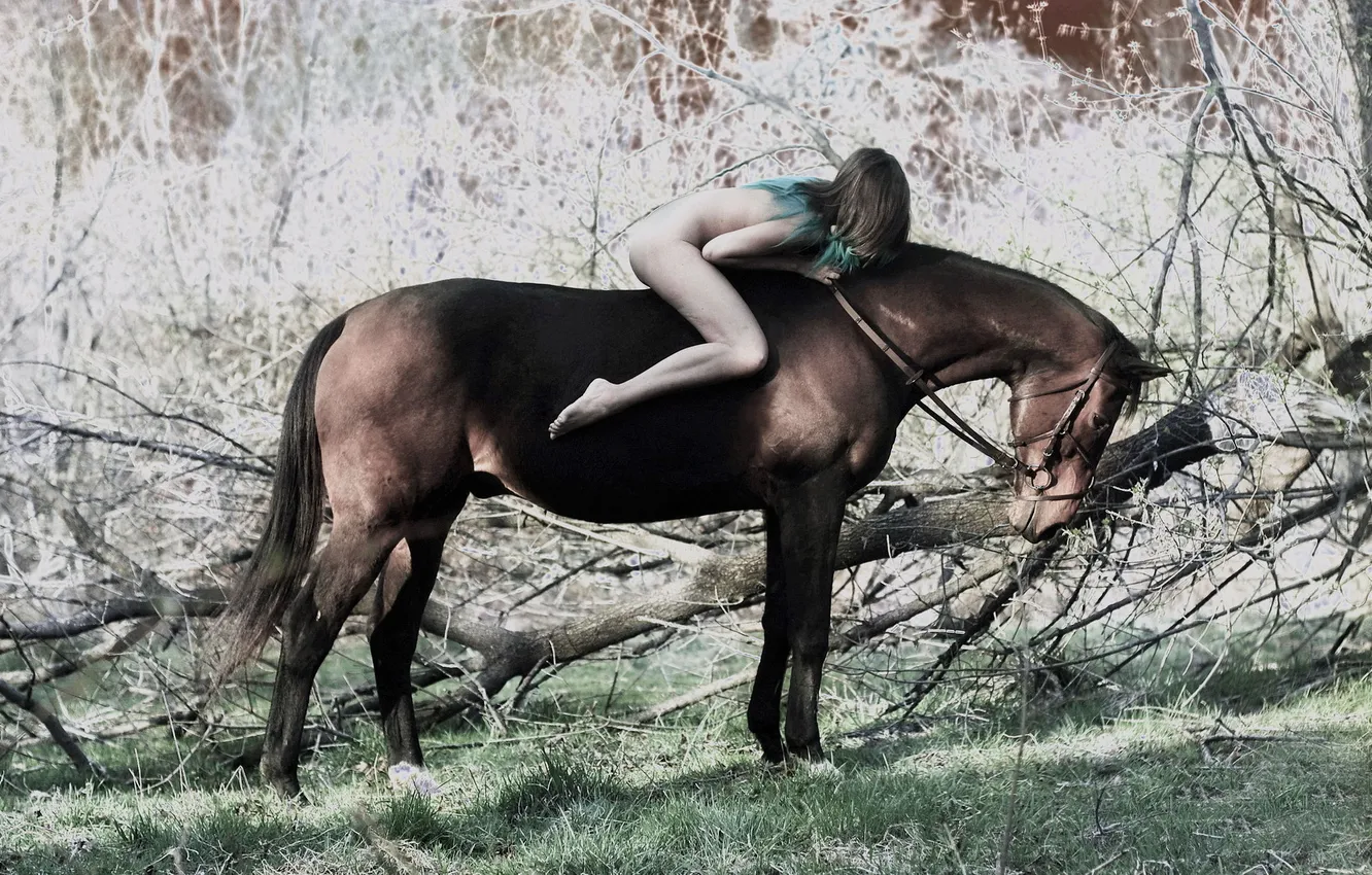 Photo wallpaper girl, background, horse