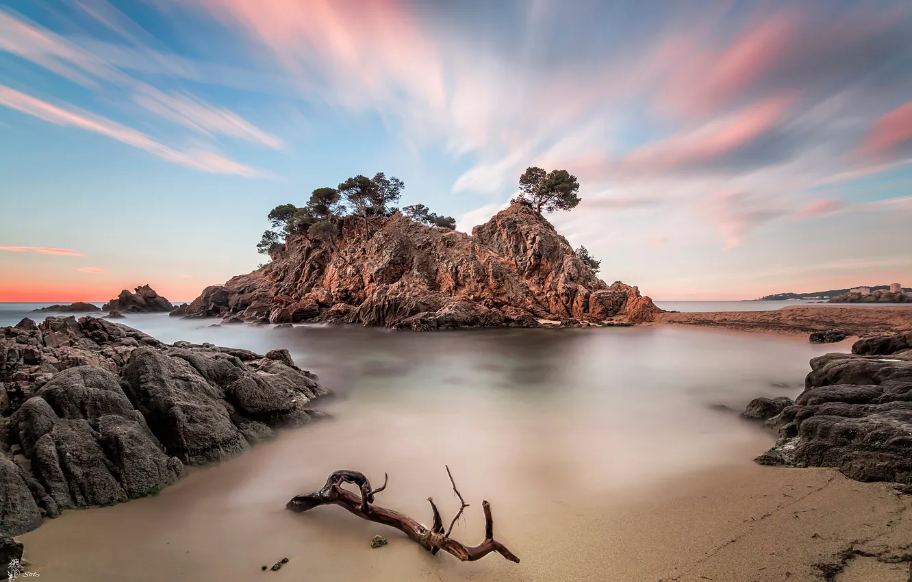 Photo wallpaper sea, beach, the sky, clouds, trees, rocks, morning, excerpt