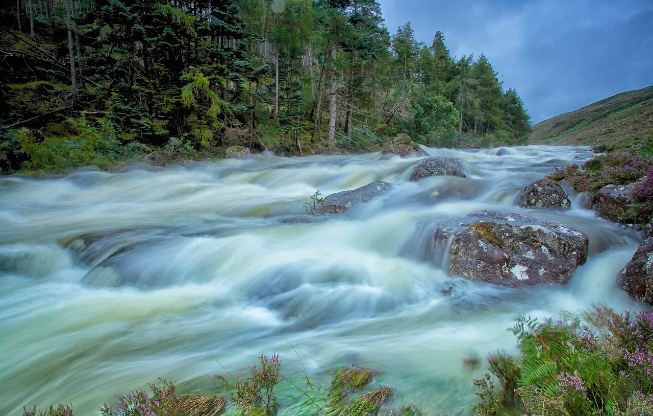 Photo wallpaper forest, the sky, mountains, river, stones