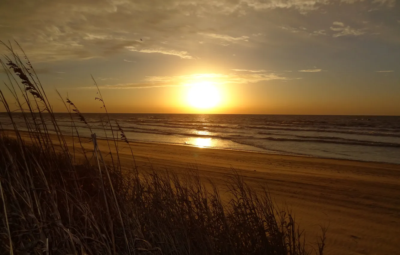 Photo wallpaper sea, the sky, grass, clouds, sunset, plant