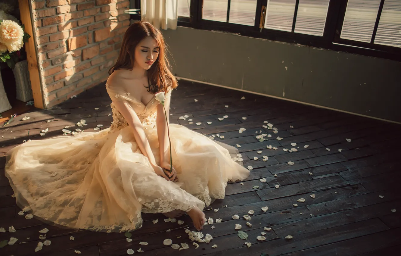 Photo wallpaper girl, roses, petals