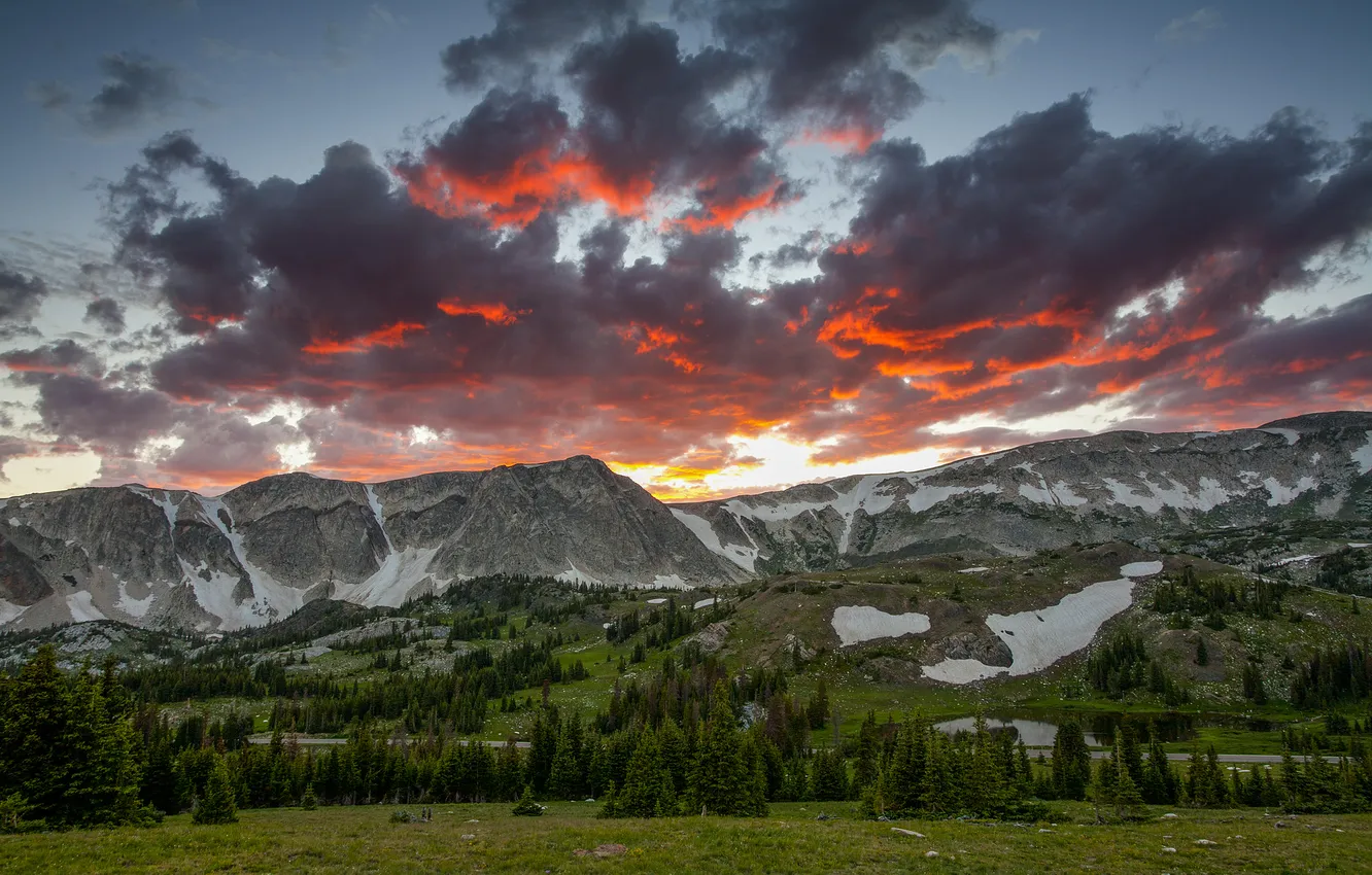 Photo wallpaper forest, snow, mountains, slope