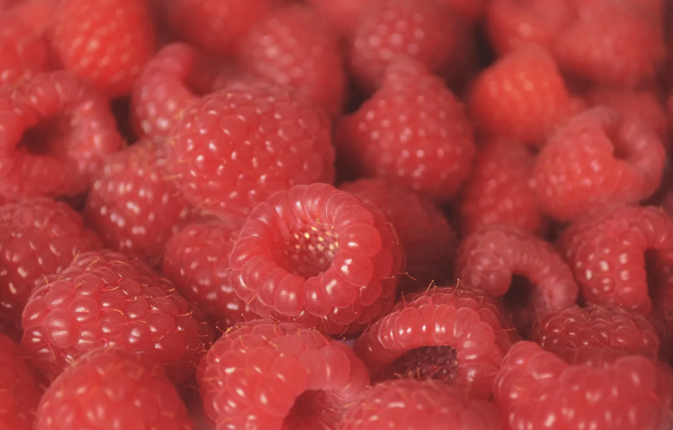 Photo wallpaper macro, berries, raspberry