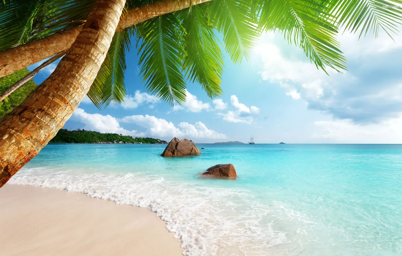 Photo wallpaper art, swordsman, .