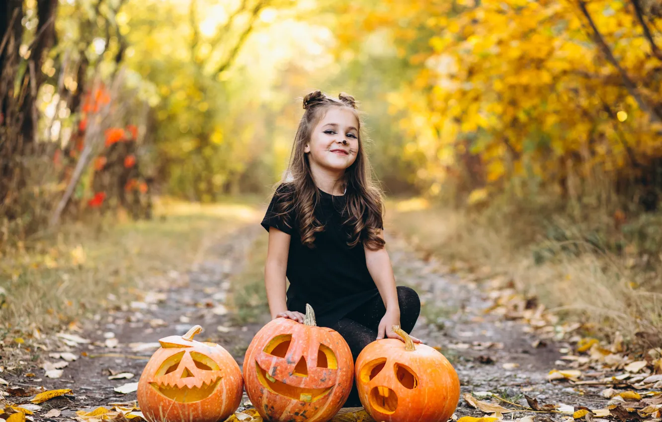 Photo wallpaper road, autumn, look, nature, smile, Park, holiday, the game