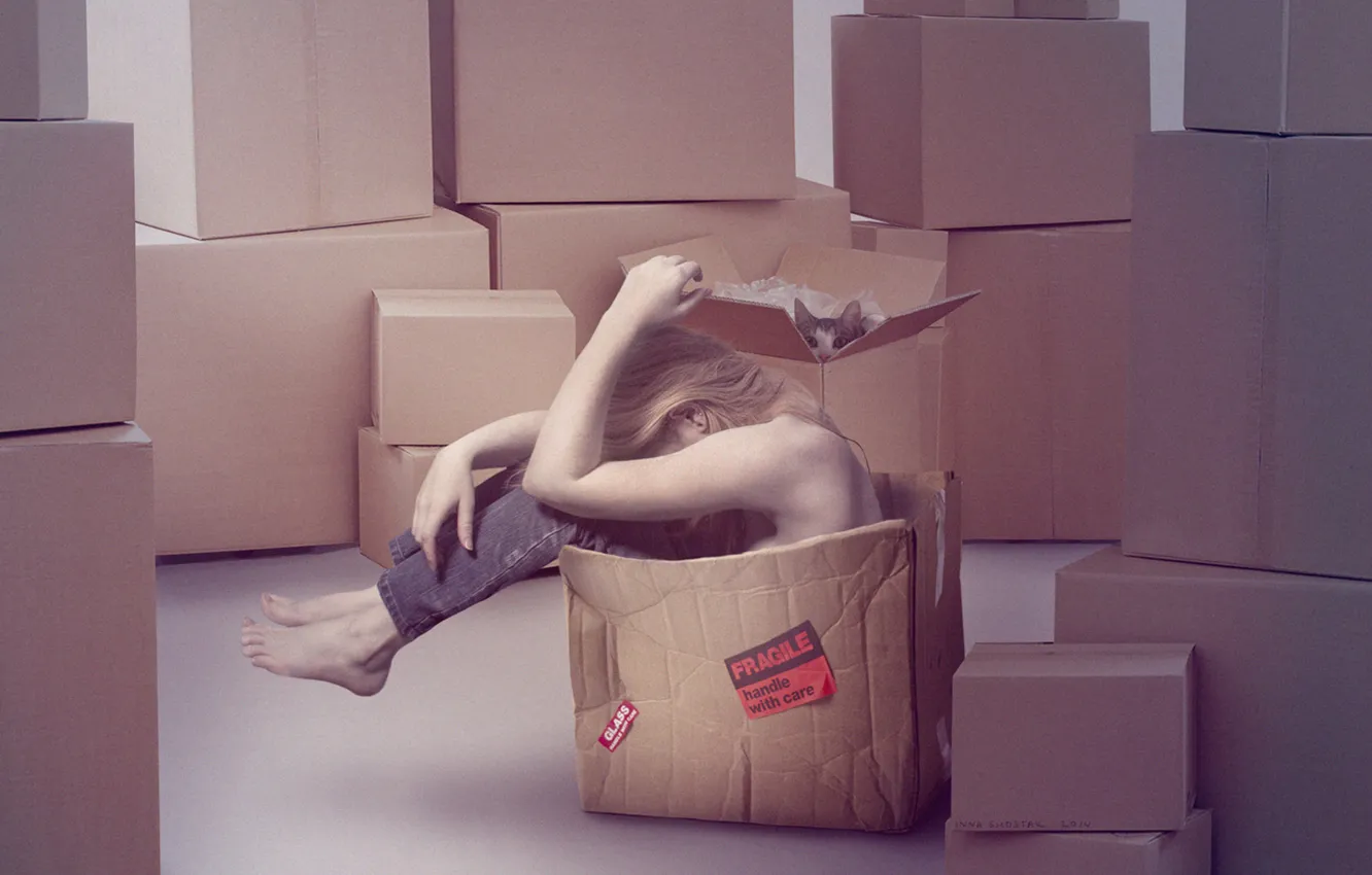 Photo wallpaper cat, girl, box, sadness, cardboard, moving, fragile