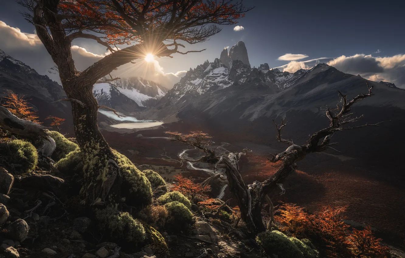 Photo wallpaper trees, mountains, rocks, moss, the rays of the sun, the beauty of nature, valna, Politova …