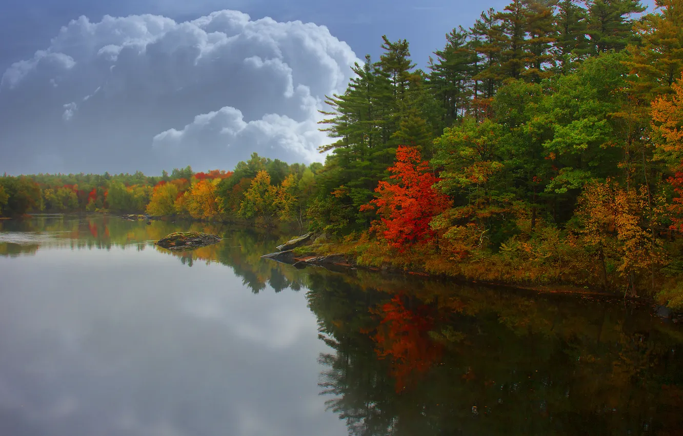 Photo wallpaper autumn, forest, the sky, clouds, trees, lake, reflection, stones