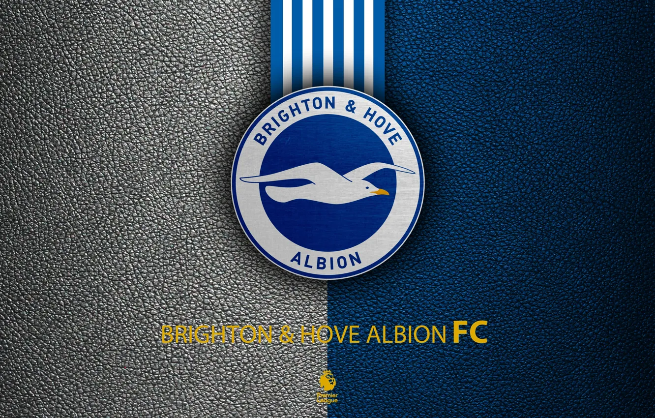 Photo wallpaper wallpaper, sport, logo, football, English Premier League, Brighton and Hove Albion