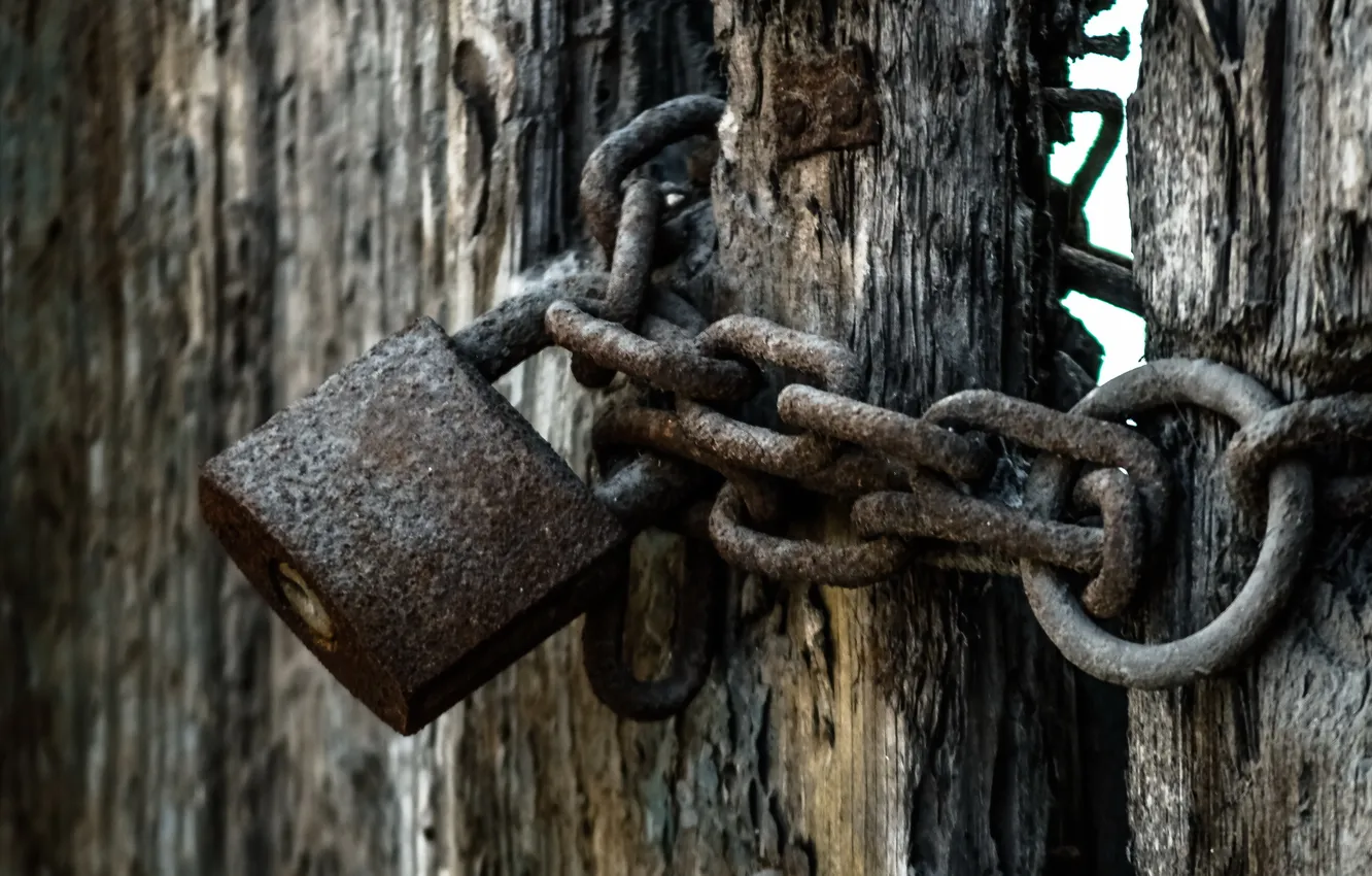 Photo wallpaper macro, background, castle