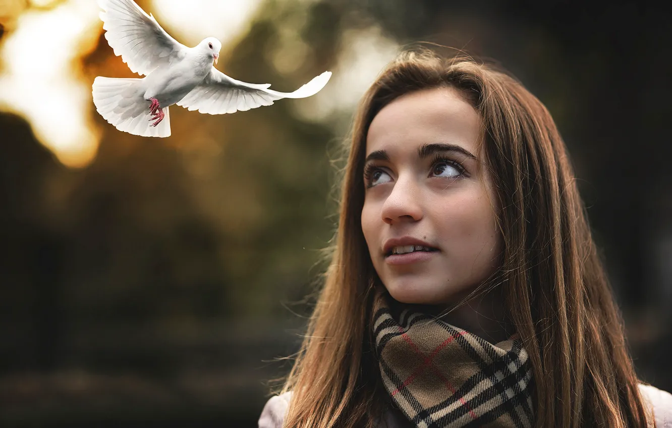 Photo wallpaper girl, dove, flight