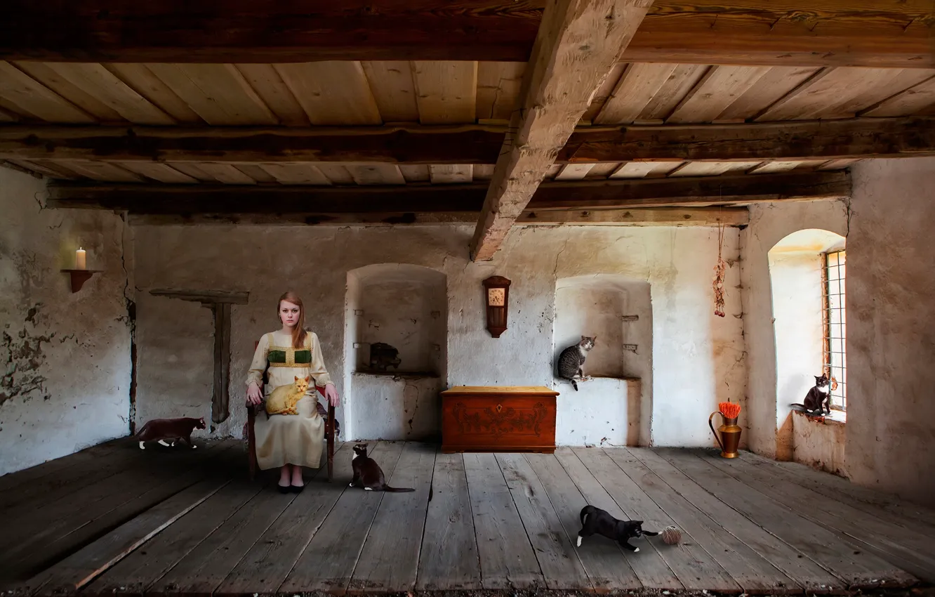 Photo wallpaper cat, girl, room