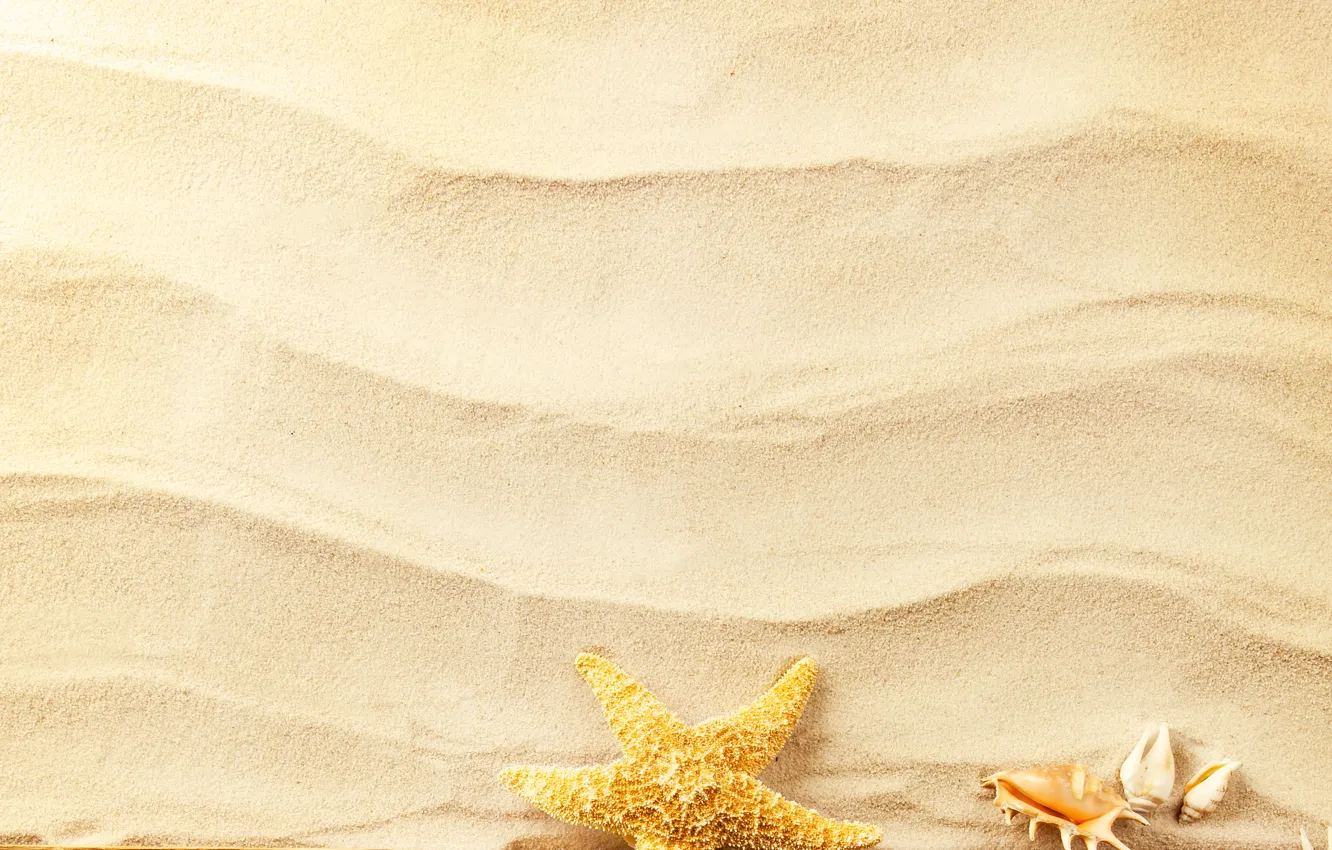 Photo wallpaper sand, wave, shell, starfish