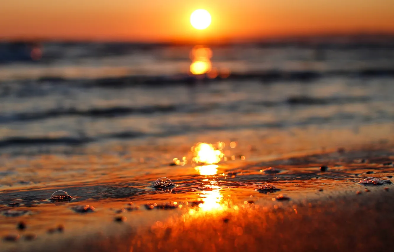 Photo wallpaper sea, water, the sun, sunset, nature, river, background, widescreen