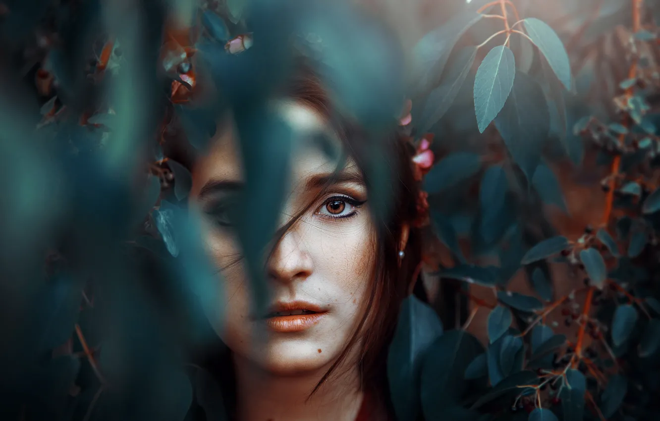 Photo wallpaper leaves, portrait, mole, Ronny Garcia
