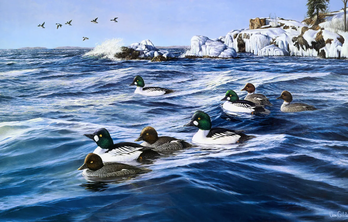 Photo wallpaper ice, winter, wave, snow, flight, nature, river, stones