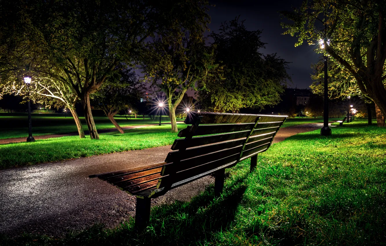 Photo wallpaper grass, trees, bench, night, lights, Park, England, London