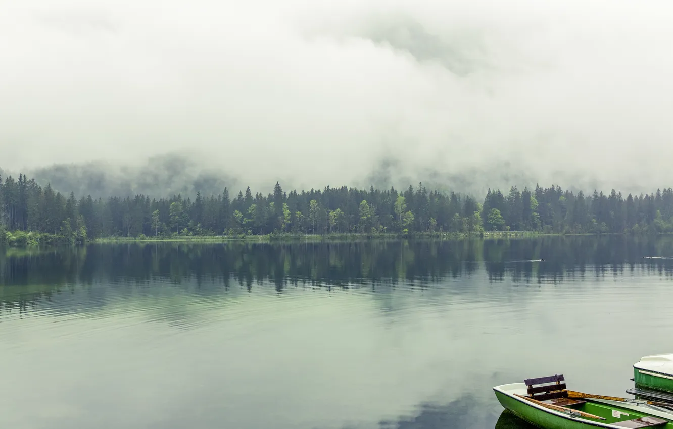 Photo wallpaper forest, fog, lake, boat, photo, photographer, markus spiske