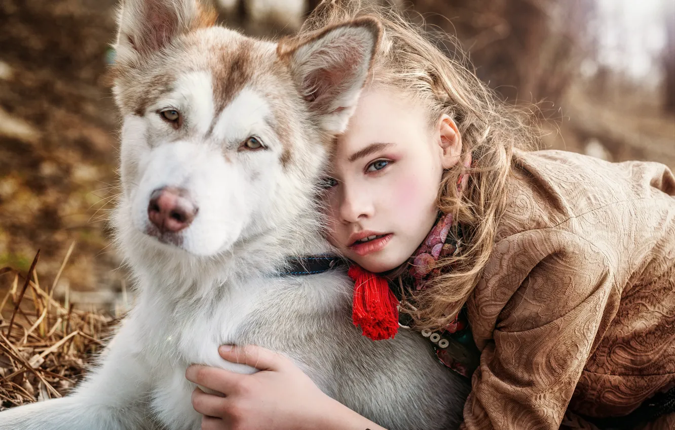 Photo wallpaper dog, girl, friends, husky