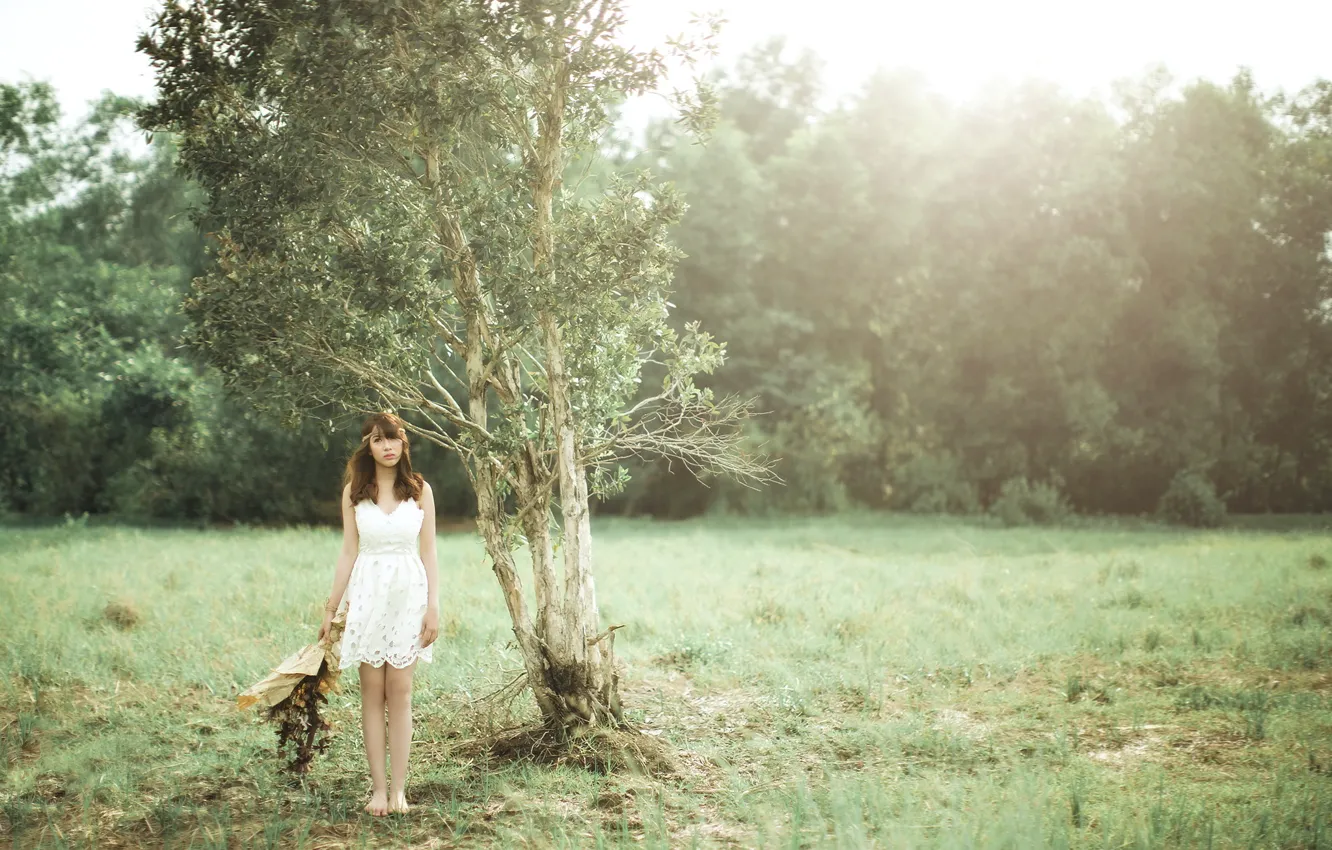 Photo wallpaper field, girl, tree