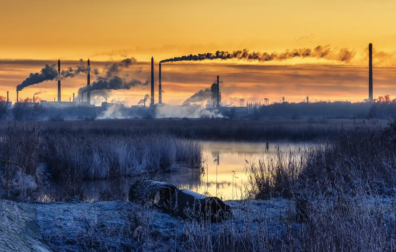 Photo wallpaper autumn, night, nature, the city, smoke