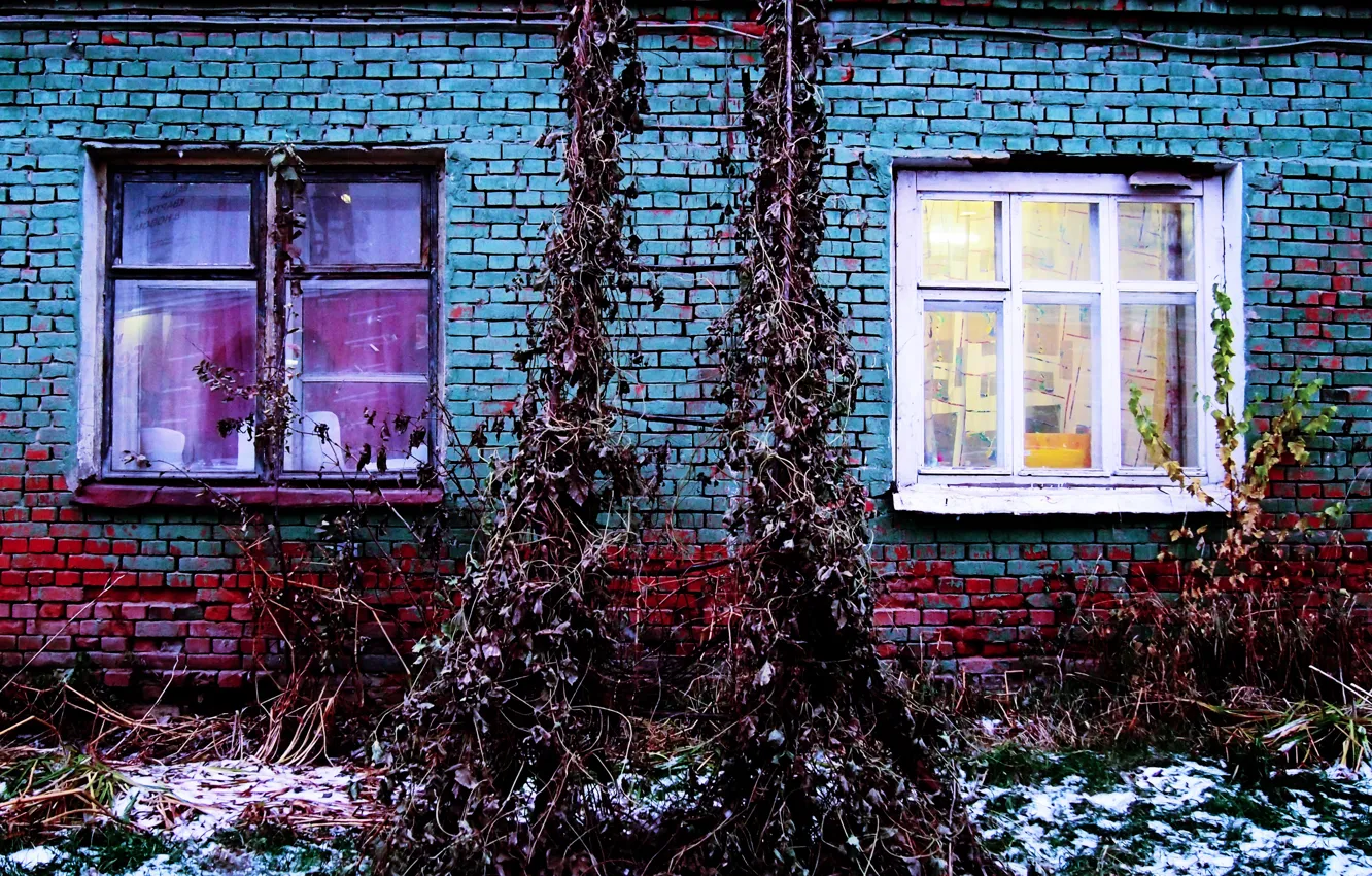 Photo wallpaper Winter, Grass, Autumn, Snow, Ladder, Wall, Light, Windows