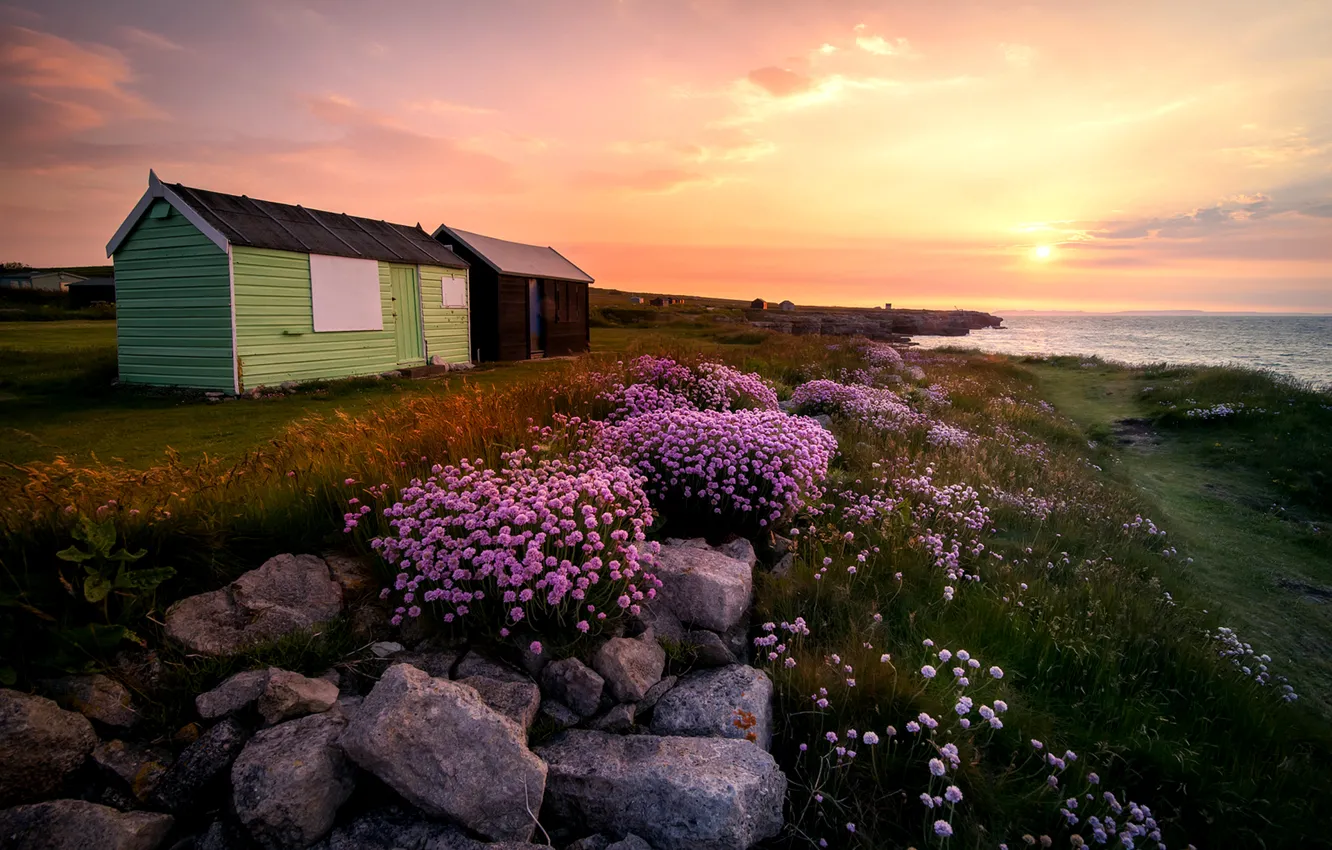 Photo wallpaper grass, the sun, landscape, flowers, sunrise, stones, island, England