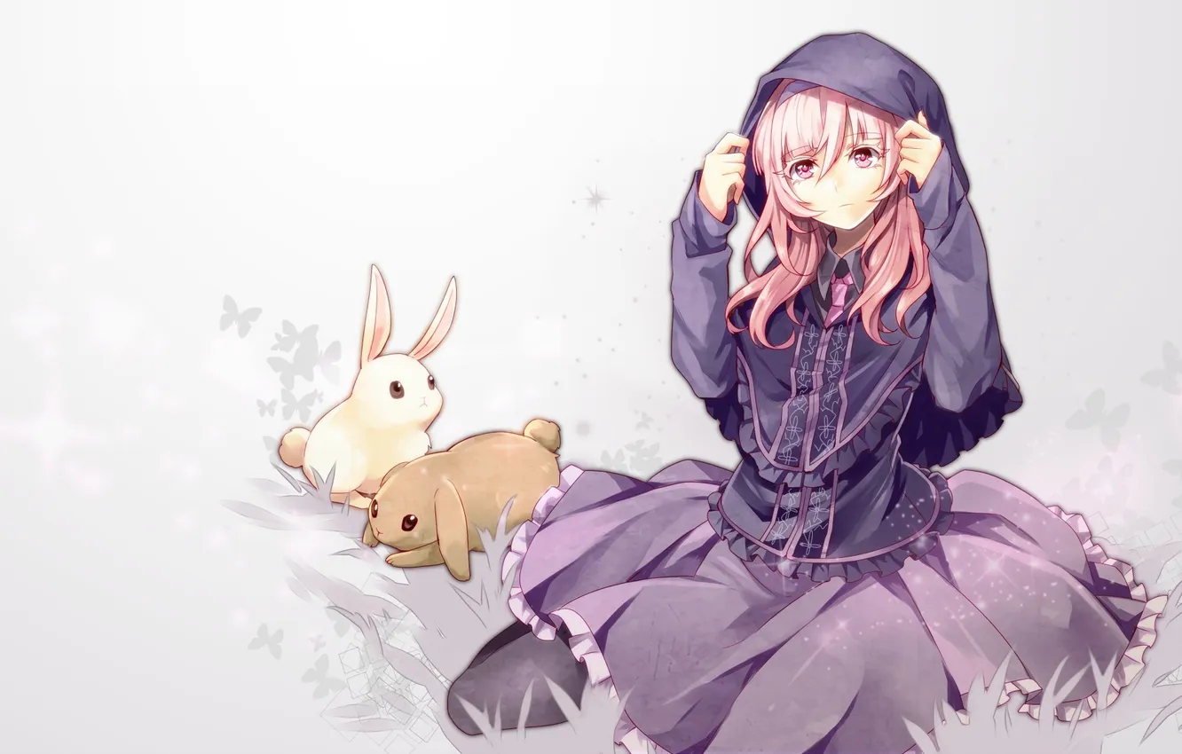 Photo wallpaper girl, animal, butterfly, anime, art, hood, Bunny, toudou charo
